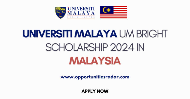 University of Malaya Bright Scholarships 2024